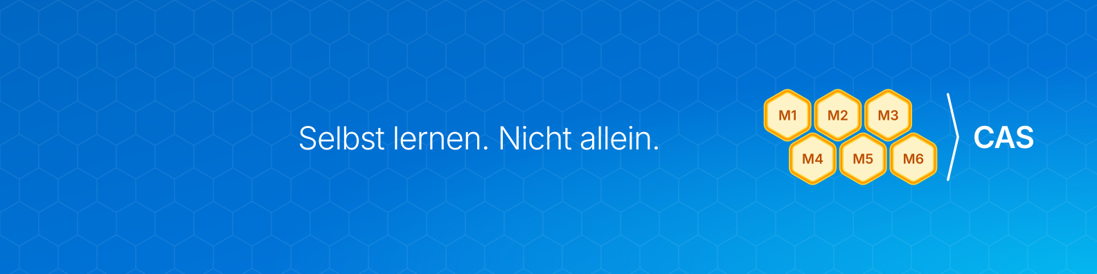 LinkedIn-Banner (Person)